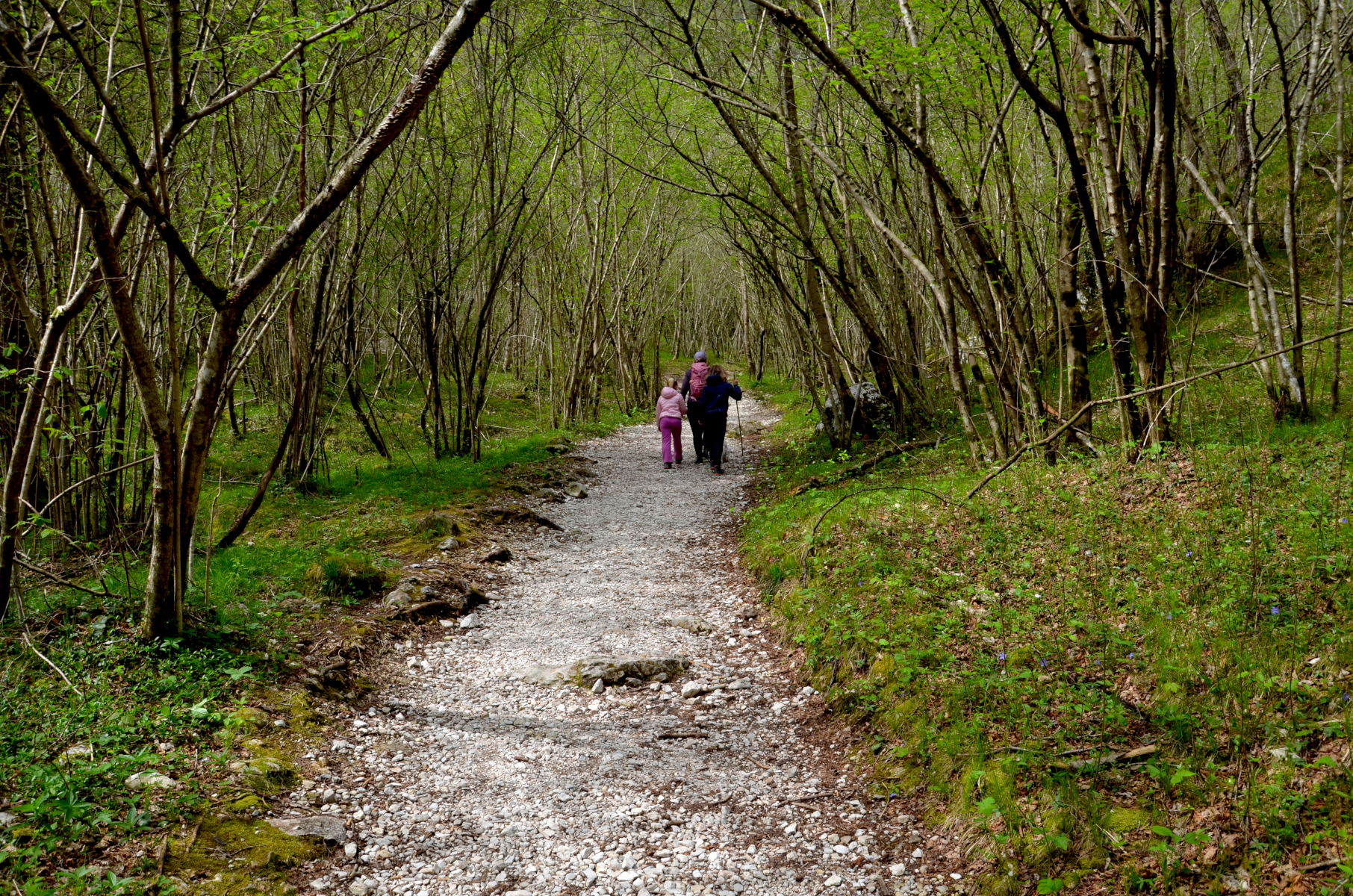 Cadin_del_Brenton_01