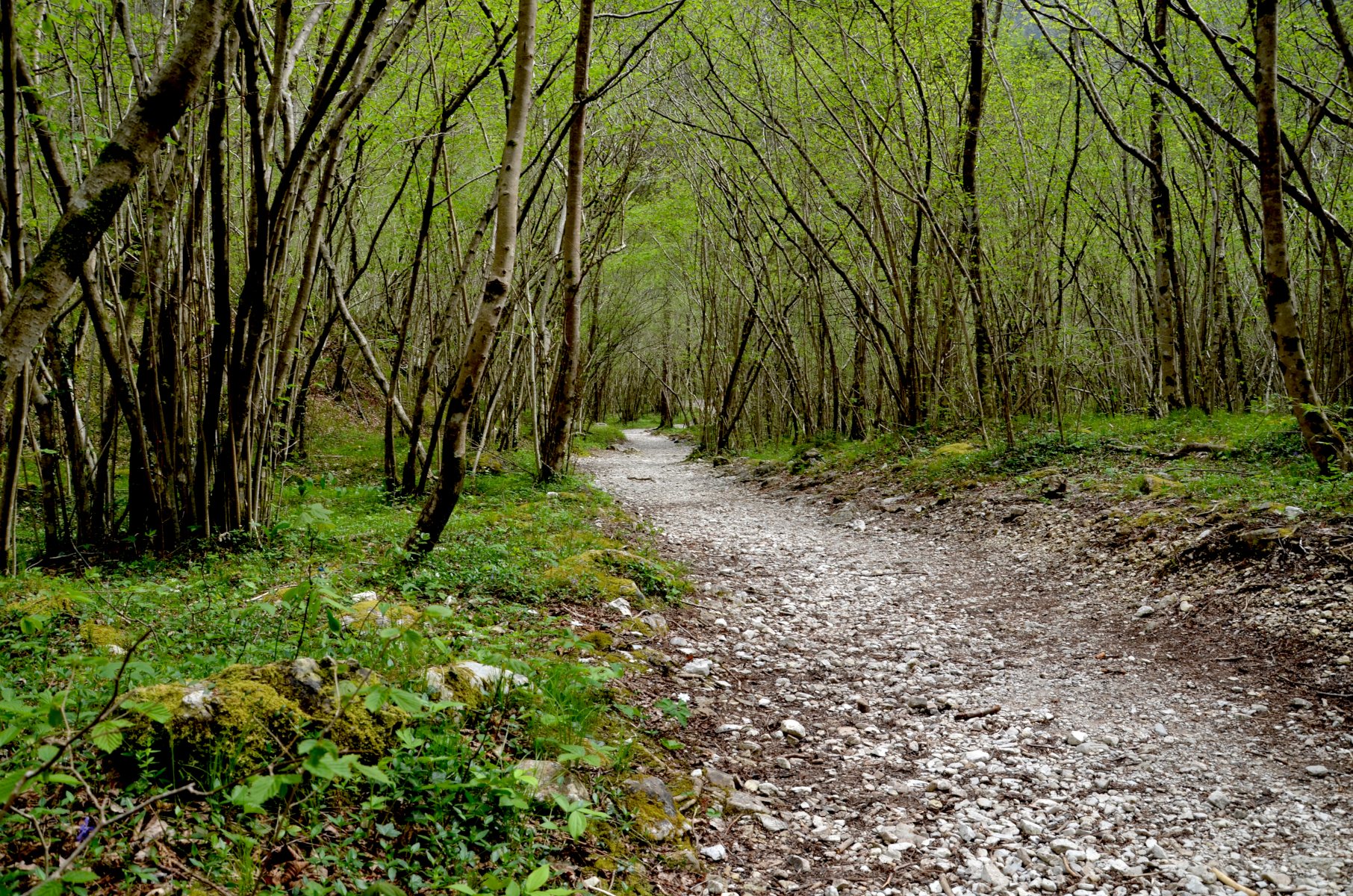 Cadin_del_Brenton_02