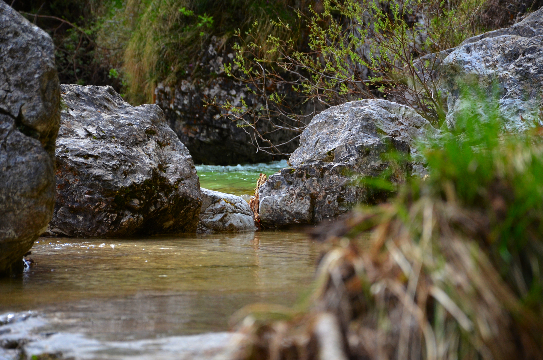 Cadin_del_Brenton_10