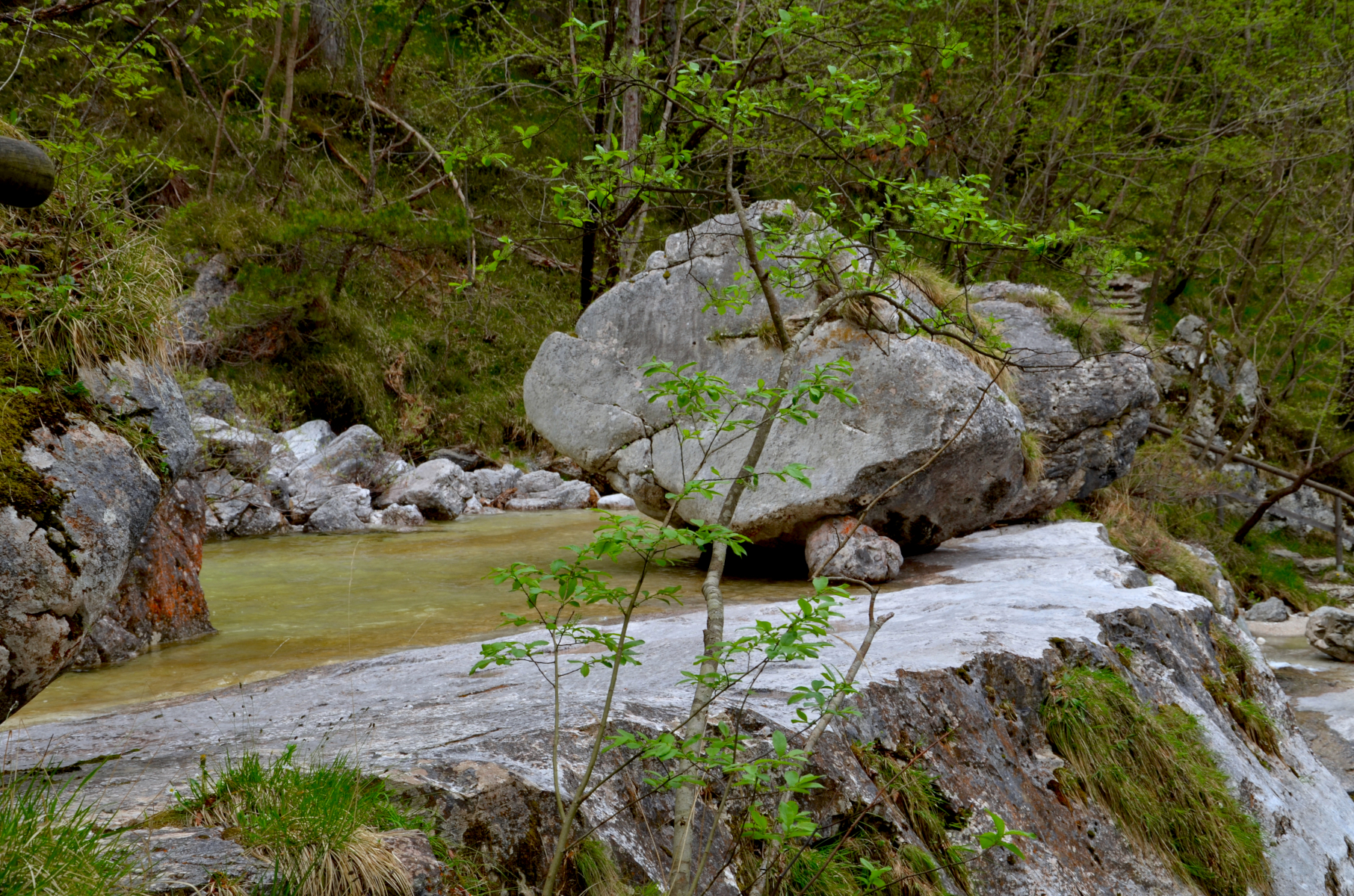 Cadin_del_Brenton_13